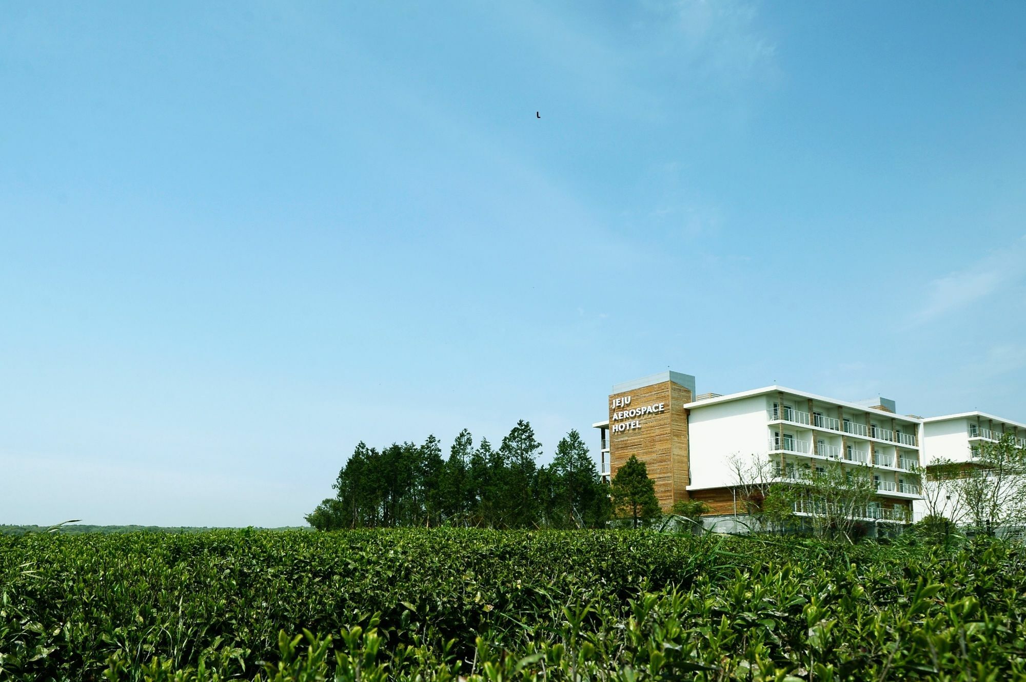 Jeju Aerospace Hotel Согвипхо Экстерьер фото